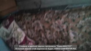 Толстые красотки в домашнем порно