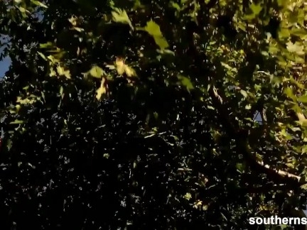 Австралийка с большой грудью